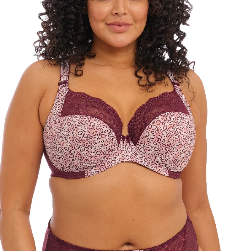 One-DAY Sale Elomi Lucie Banded Stretch Lace Plunge Underwire Bra (4490) - Wild Thing
